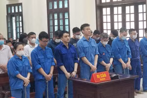 14 bị cáo nguyên là cán bộ, công chức Hải quan Hải Phòng hầu toà cùng 8 bị cáo trong vụ buôn gỗ lậu.