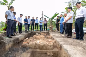 Với hố khai quật có trên diện tích 20m² ở thôn Ngọc Lặc, xã Ngọc Sơn (TP Hải Dương) các nhà khoa học, nhà nghiên cứu lịch sử phát hiện nhiều di vật niên đại kéo dài từ thời kỳ Đông Sơn muộn đến thời Đông Hán.