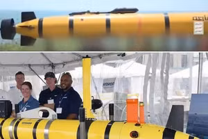 Sự khác biệt giữa Al-Qaria (bên trên) và Remus 600 của Mỹ.