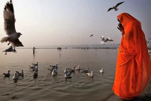 Cầu nguyện bên bờ sông Hằng ở Allahabad, Ấn Độ.