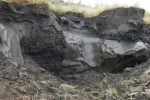 Các mỏ băng vĩnh cửu và các mạch băng được phát hiện tại Alaska.