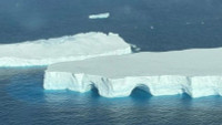 tanaangr-4.jpg