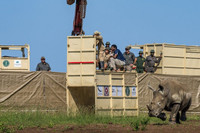 te-giac-7.jpg