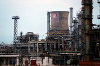hoa-hoan-1.jpg