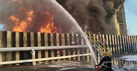 hoa-hoan-6-8960.jpg