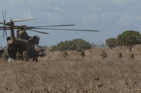 biet-kich-1.jpg