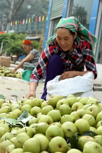 Ngày hè của trẻ em người Mông ảnh 13