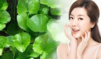 Thần dược tự nhiên trị mụn, chị em nào cũng cần 