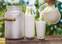 Thần dược giúp ngăn ngừa đầy lùi gan nhiễm mỡ