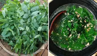 Top thực phẩm khắc tinh của ung thư gan, bán nhiều ở chợ Việt