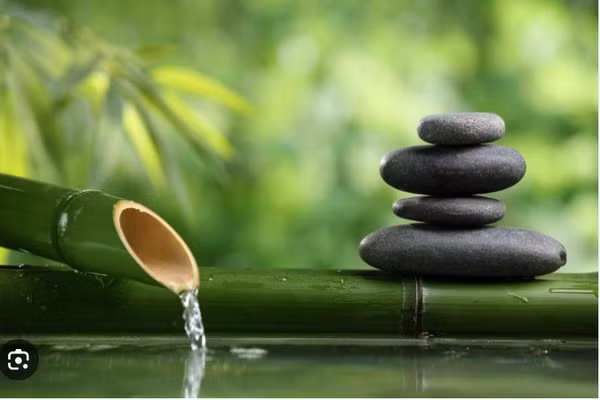 Tử vi 12 con giáp ngày 25/8: Ngọ nên cân nhắc trước khi đưa ra quyết định