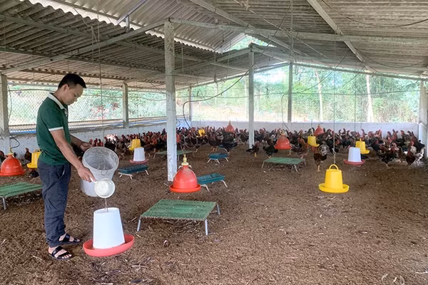 Cuộc sống của người dân dần ổn định, thoát nghèo. Ảnh BPT