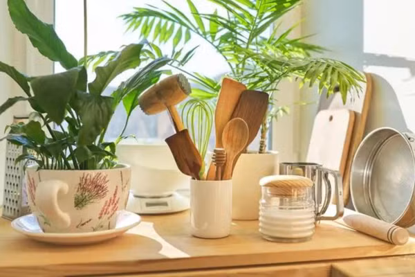 Giấy bìa công nghiệp dễ hấp thụ và giữ lại các loại khí độc hại. (Ảnh: ITN).