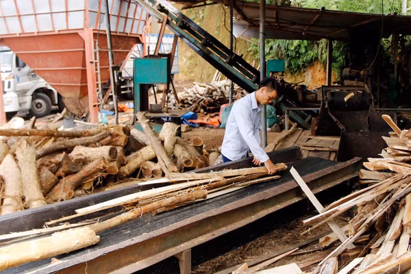 Nguồn vốn tín dụng ưu đãi từ Ngân hàng Chính sách xã hội tỉnh giúp cho người dân có điều kiện phát triển kinh tế. Ảnh TN