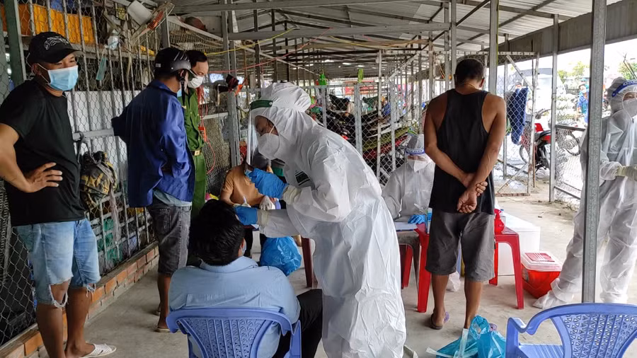 Sử dụng kit test thời điểm dịch COVID 19 bùng phát tại Cà Mau.