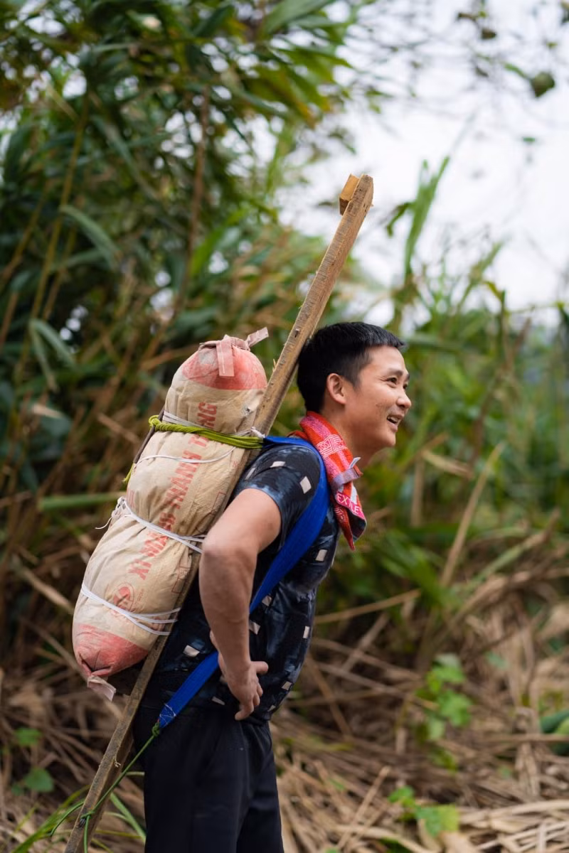 Những bao xi măng trên vai các porter.
