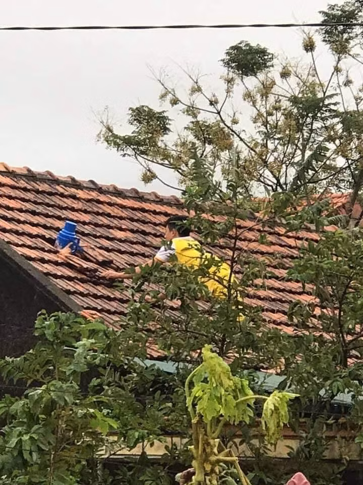 Tiếp tế trên mái nhà