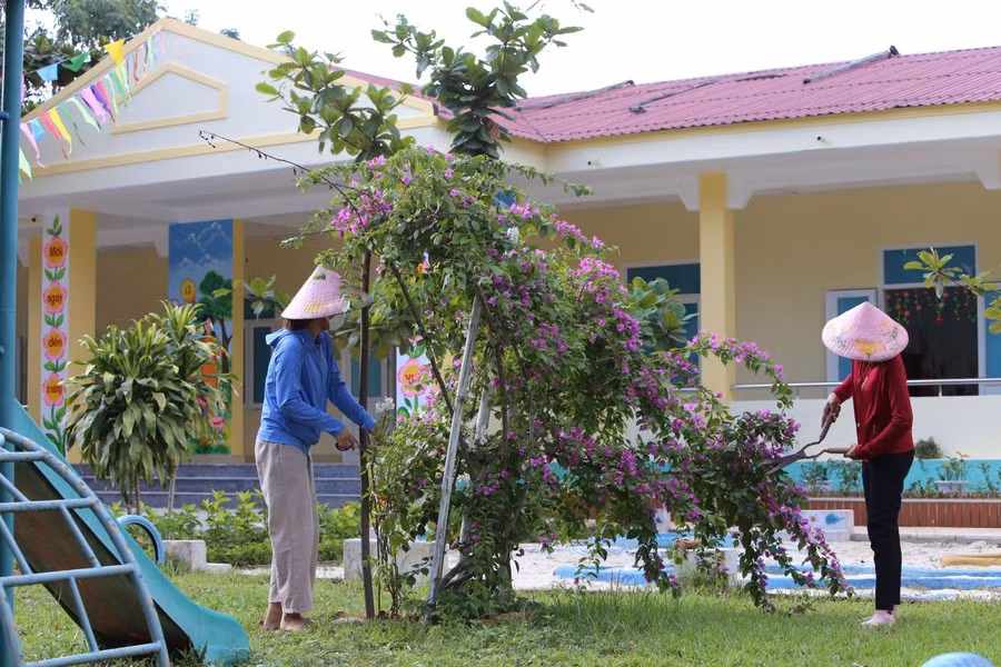 Cắt tỉa, tạo hình đối với cây cối trong khuôn viên nhà trường.