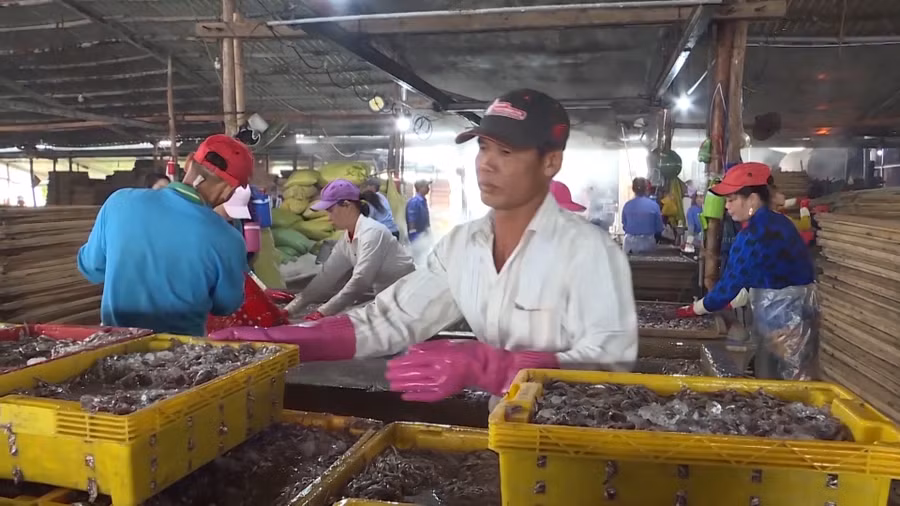Hộ nghèo được tạo công ăn việc làm để vươn lên thoát nghèo.