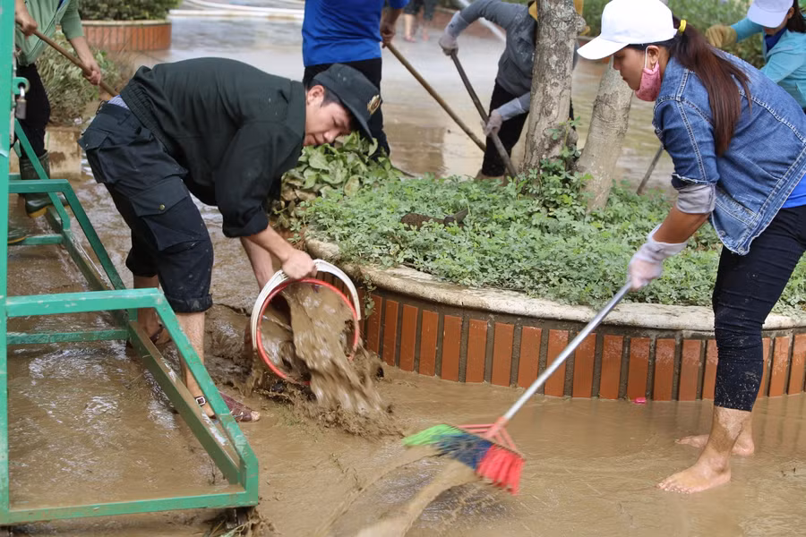 Tát bùn ở vùng thấp trong sân trường