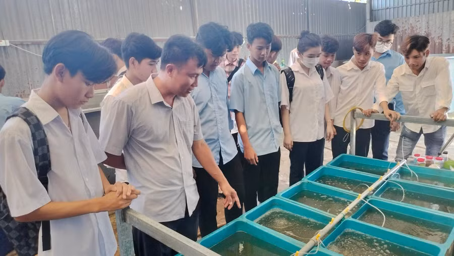 Một tiết thực hành của sinh viên Trường CĐ Cộng đồng Cà Mau.