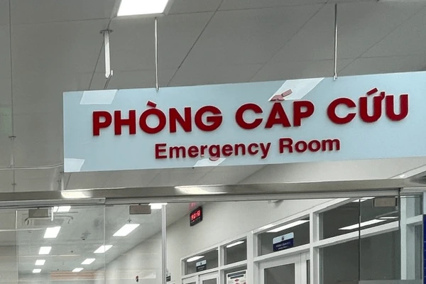 Ngành Y tế TPHCM hướng về ngày bầu cử. (Ảnh minh họa).