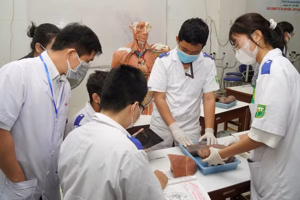Một buổi học thực hành của sinh viên Trường Đại học Y khoa Phạm Ngọc Thạch.