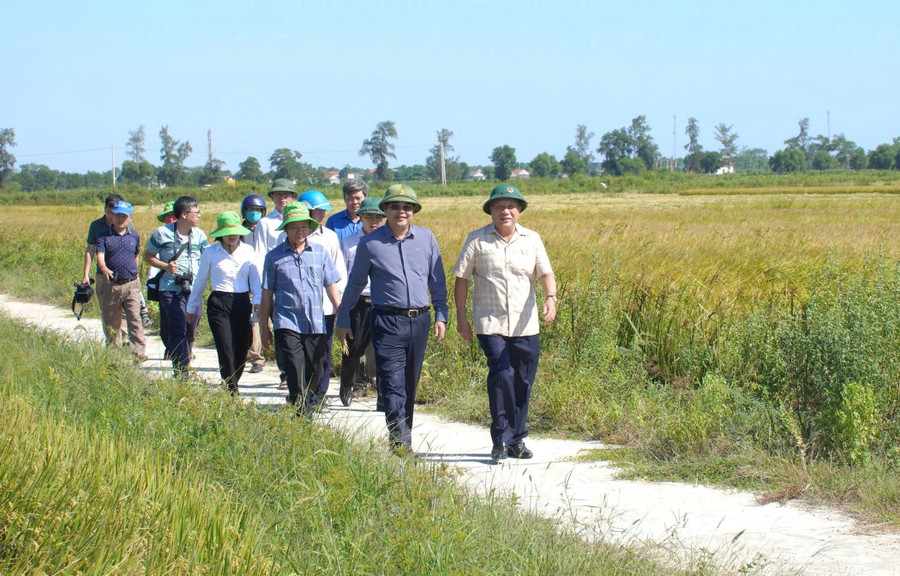 Lãnh đạo UBND tỉnh kiểm tra các mô hình sản xuất nông nghiệp trong xây dựng nông thôn mới trên địa bàn tỉnh. Ảnh: Tiến Nhất