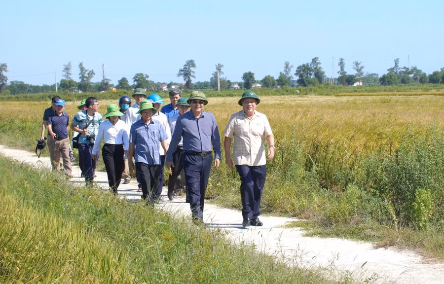 Lãnh đạo UBND tỉnh kiểm tra các mô hình sản xuất nông nghiệp trong xây dựng nông thôn mới trên địa bàn tỉnh. Ảnh: Tiến Nhất