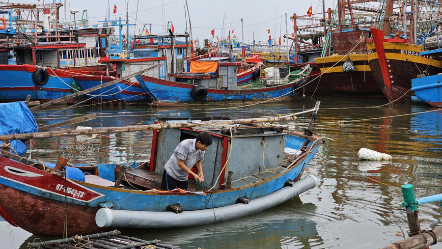 Người dân miền Trung chằng chống nhà cửa, neo đậu tàu thuyền trước áp thấp nhiệt đới