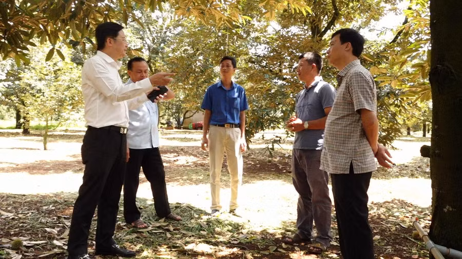 A1- A Dương.png