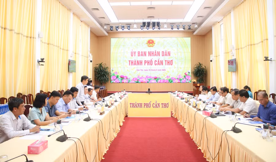 Quang cảnh buổi làm việc.