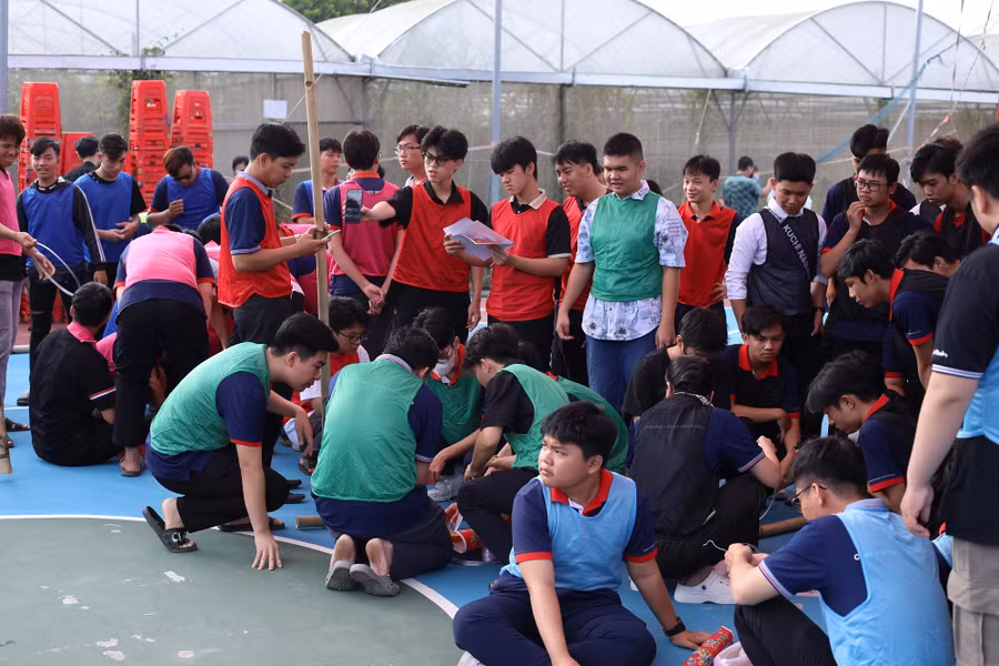 cd-viet-my-can-tho-7.jpg