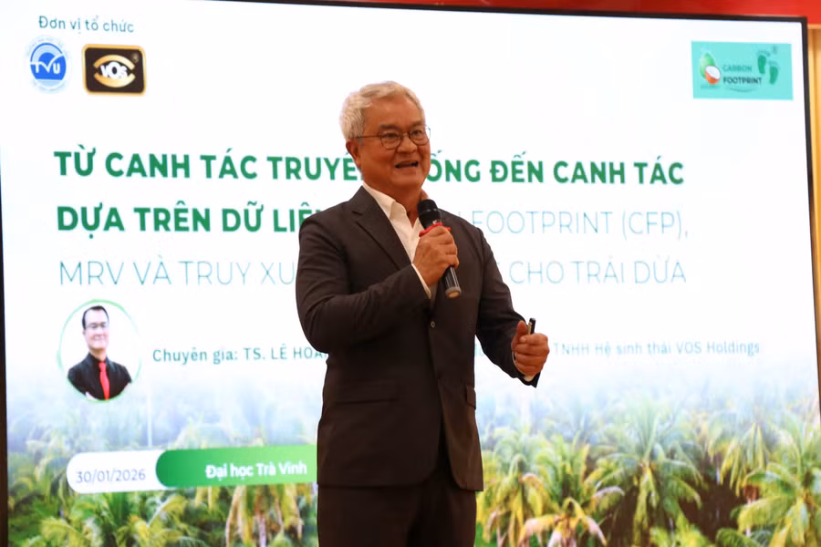 dhtv-cay-dua-4.jpg
