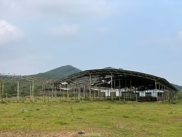 Nghìn tỉ chỉ còn lại khung sắt gỉ sét