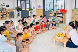 Ảnh minh họa/internet.