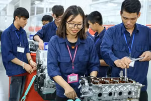 Ảnh minh họa/internet.