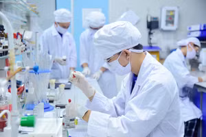 Ảnh minh họa/USTH