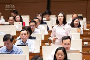 Đại biểu Nàng Xô Vi phát biểu.