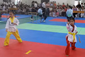 Trẻ mầm non trình diễn tại Festival Taekwondo Kindergarten “Hana Taekwondo cup”, sáng 28/7.