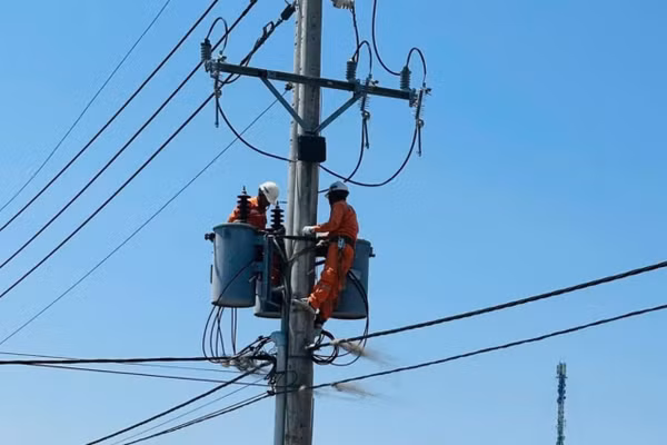 Nhân viên điện lực bảo trì lưới điện tại xã Thạnh An, TPHCM. Ảnh: EVNHCMC.