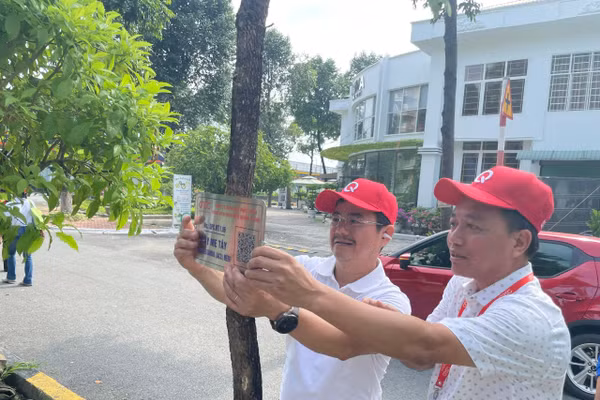 Bảng mã QR chứa thông tin của cây xanh được gắn lên cây. Ảnh: Hà An.