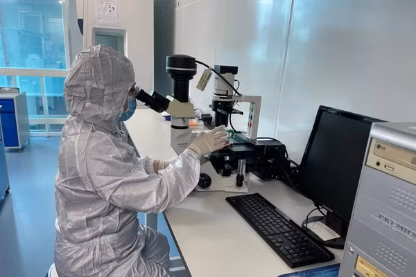 Nhà khoa học nghiên cứu tại phòng thí nghiệm Viện Tế bào gốc, Trường Đại học Khoa học Tự nhiên (ĐHQG TPHCM). Ảnh: Hà An.