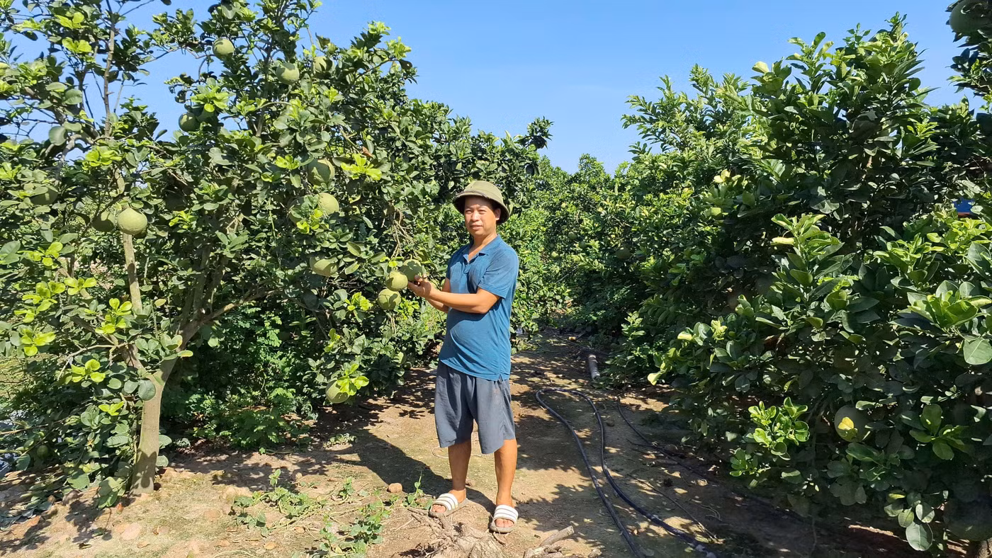Nông dân Hải Phòng phấn khởi "khoe" thành quả phát triển kinh tế gia đình.