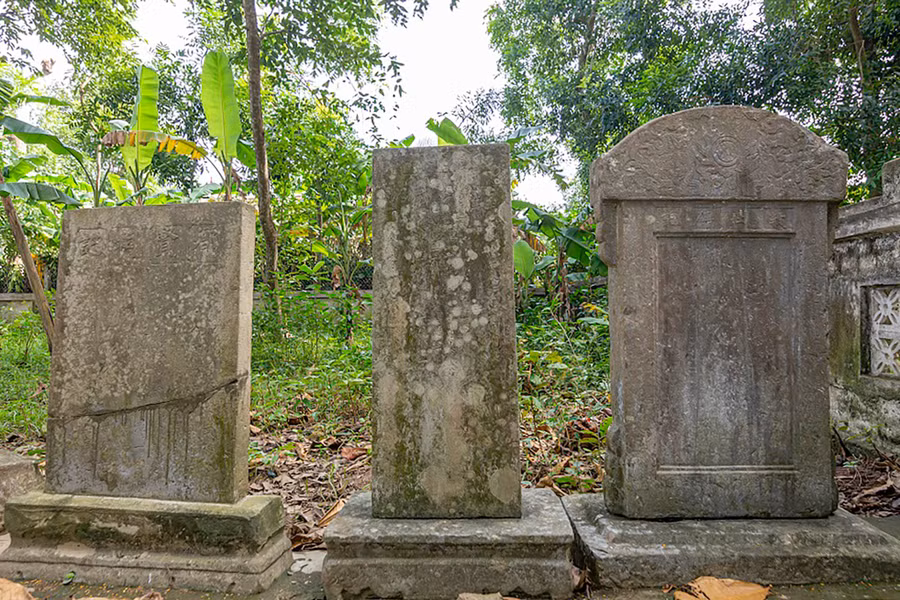 tong-tat-thang-danh-tuong-khai-khoa-mien-dat-hoc-5.jpg