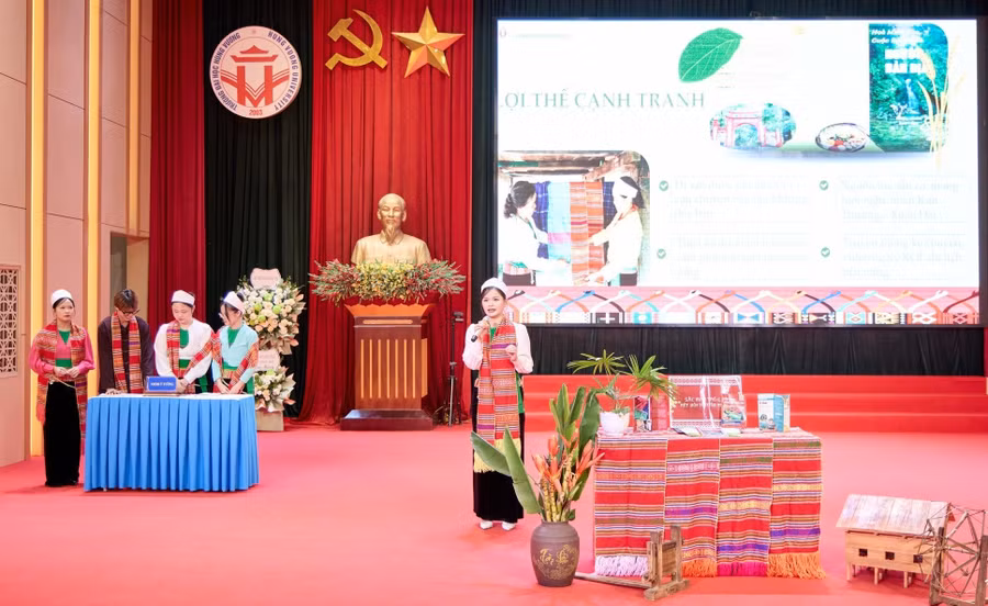 dot-pha-song-hanh-2.jpg