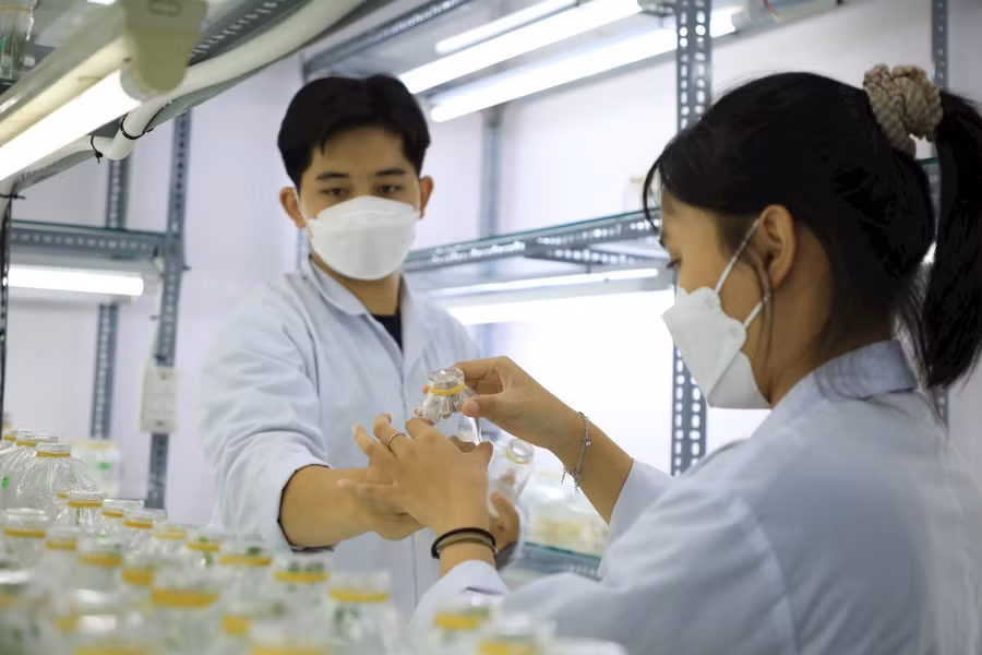 Sinh viên Trường Đại học Công Thương TPHCM trong giờ học thực hành. Ảnh: Công Chương