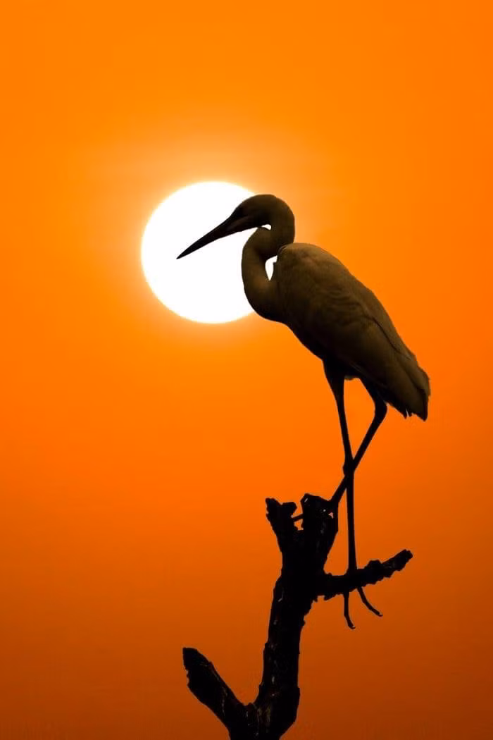 tan-man-chuyen-tham-tho-2.jpg