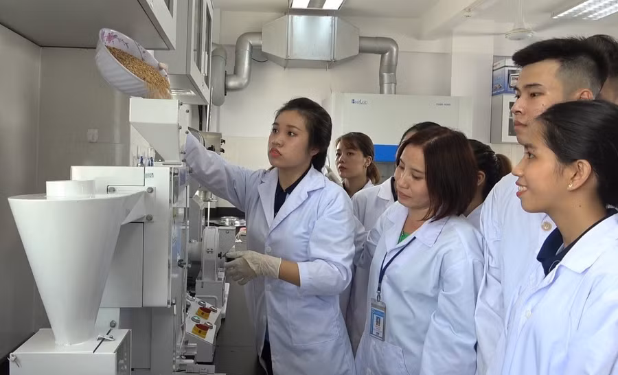 giao-duc-stem-6.jpg