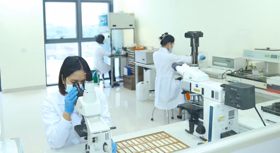 Cán bộ, giảng viên Học viện Nông nghiệp Việt Nam nghiên cứu trong phòng thí nghiệm. Ảnh: NTCC
